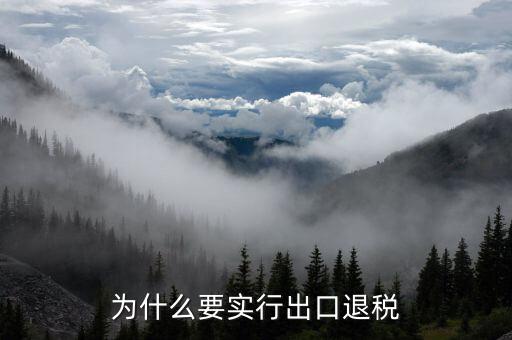 國家為什么出口退稅，為什么國家對產(chǎn)品出口退稅國外一般對出口有退稅嗎
