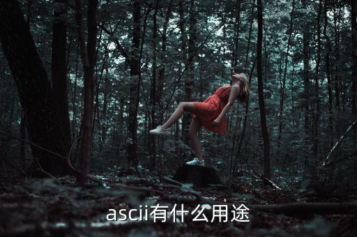 稅優(yōu)識別碼有什么用，ascii有什么用途