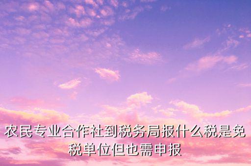農(nóng)村合作社交什么稅，農(nóng)民合作社每個月要申報什么稅