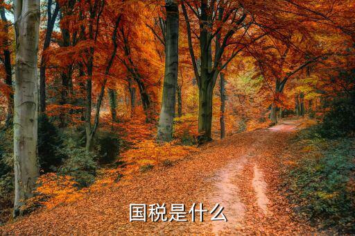 國稅無紙化辦稅是什么意思，開通國稅是什么意思