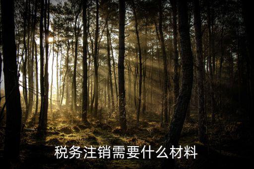 注銷金稅盤需要帶什么，注銷稅務(wù)登記證需提供哪些材料