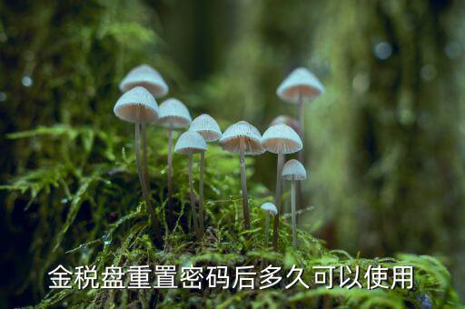 ca國稅密碼重置后是什么，樂稅社區(qū)稅友提問CA登錄時的密碼是什么納稅人自己定的還是稅