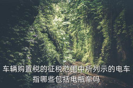有軌電車征收什么稅，車輛購置稅的征稅范圍中所列示的電車指哪些包括電瓶車嗎