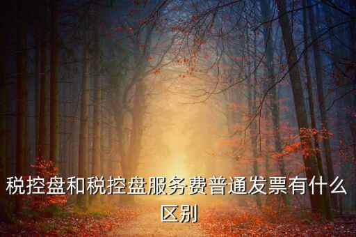 金稅盤和稅控盤有什么區(qū)別，金稅盤和稅控盤開出的發(fā)票有什么區(qū)別