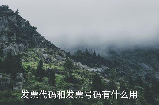 發(fā)票地區(qū)編號填什么用，發(fā)票代碼和發(fā)票號碼有什么用