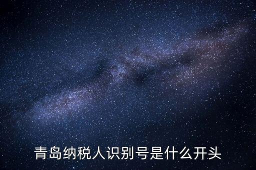 納稅人識(shí)別號(hào)什么開頭，納稅人識(shí)別號(hào)330100開頭的是哪個(gè)地方的