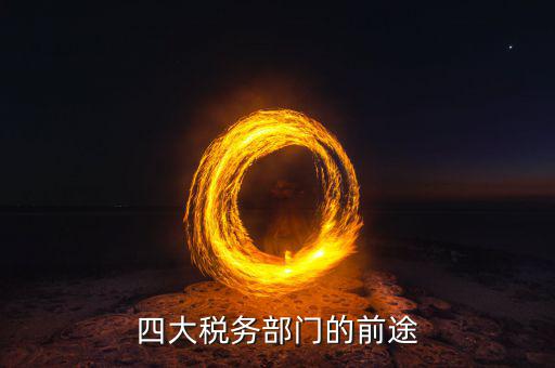 稅務(wù)局最多一句是什么，稅務(wù)局和四大選擇