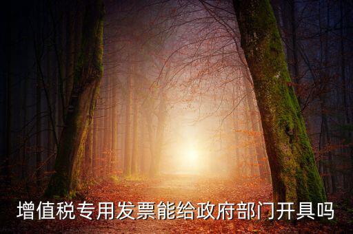 什么內(nèi)容的發(fā)票不可以給政府部門，增值稅專用發(fā)票能給政府部門開具嗎