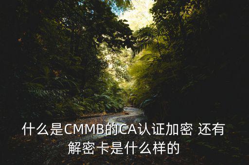 東莞ca證書(shū)密碼是什么意思，機(jī)構(gòu)代碼的ca證書(shū)的PIN碼是什么我用CA證書(shū)登陸國(guó)稅時(shí)提示詳細(xì)