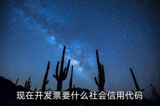發(fā)票的社會(huì)信用代碼是什么意思，現(xiàn)在開(kāi)發(fā)票要的社會(huì)信用代碼是誰(shuí)的代碼