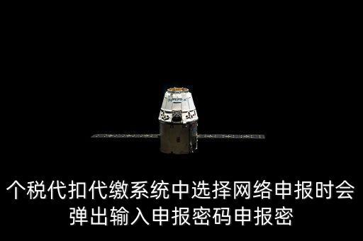 個(gè)稅申報(bào)密碼是什么意思，網(wǎng)上報(bào)稅 報(bào)稅密碼是什么