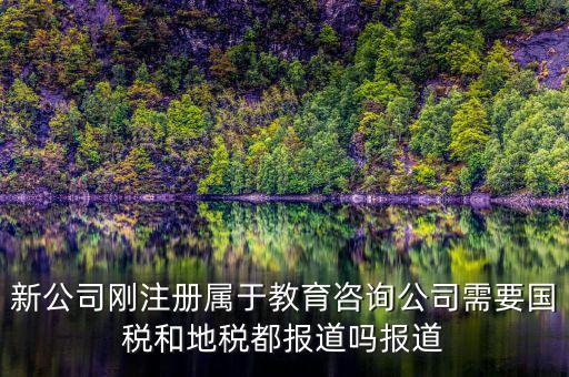 教育咨詢納什么稅，請(qǐng)問從教育事業(yè)的公司要納稅嗎