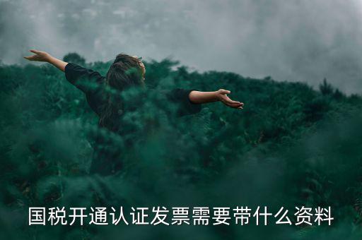 國(guó)稅開通認(rèn)證發(fā)票需要帶什么資料