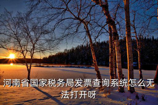 河南一體化辦稅為什么辦不成，河南省國家稅務(wù)局發(fā)票查詢系統(tǒng)怎么無法打開呀
