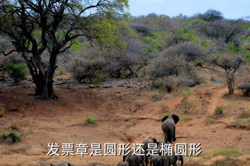 發(fā)票專用章是什么形狀，申請(qǐng)開(kāi)發(fā)票時(shí)要刻發(fā)票章是啥樣的