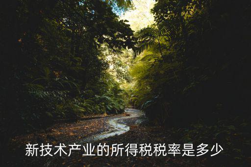 新技術產業(yè)的所得稅稅率是多少