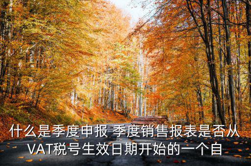 什么是季度申報(bào)表，有關(guān)企業(yè)申報(bào)的季度報(bào)表