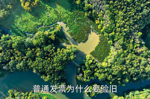 普票驗舊驗什么，發(fā)票驗舊是什么意思