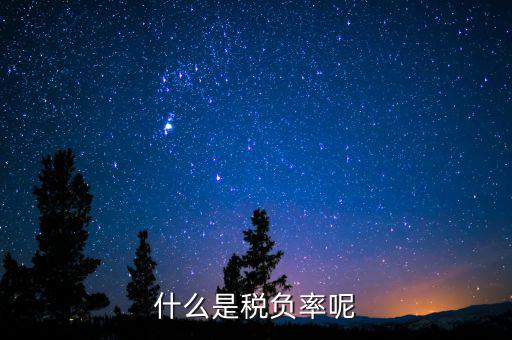 什么是beps，中國銀行網(wǎng)上銀行轉(zhuǎn)賬錯(cuò)誤代碼BEPSE026是什么意思