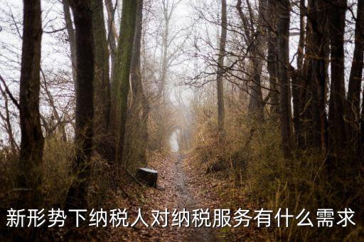 納稅服務(wù)的要求是什么，新形勢下納稅人對納稅服務(wù)有什么需求
