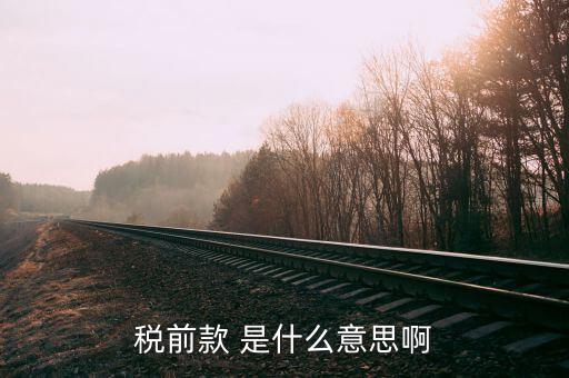 什么是稅前項(xiàng)目費(fèi)，稅前款 是什么意思啊