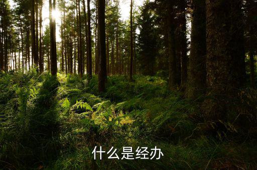 稅務(wù)文書經(jīng)辦是什么意思，什么是經(jīng)辦