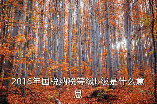 納稅信用等級(jí)評(píng) 什么用，企業(yè)納稅信用等級(jí)有何用處