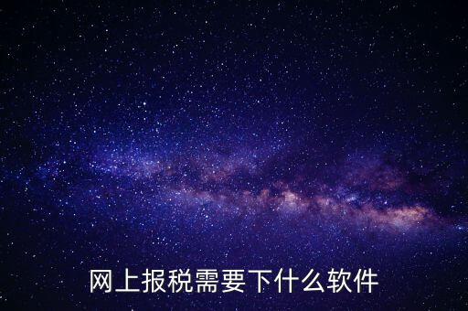 報(bào)國(guó)稅都安裝什么軟件，網(wǎng)上報(bào)稅需要下什么軟件