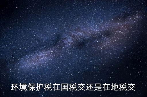什么人要交環(huán)境保護(hù)稅，環(huán)境保護(hù)稅在國(guó)稅交還是在地稅交