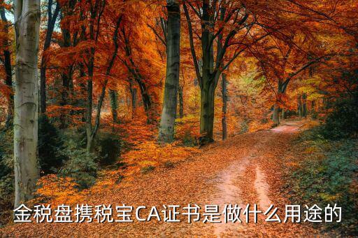 稅務(wù)局所說的ca是什么，今天稅務(wù)打電話說拿著稅務(wù)登記證到國稅去CA認(rèn)證怎么回事呀CA是