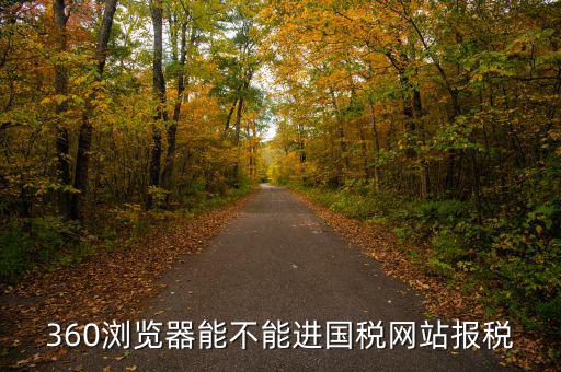 福建國稅網用什么瀏覽器，為什么無法打開福建國稅局網上申報網頁