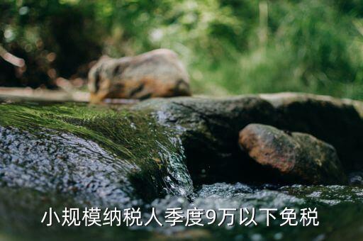 小規(guī)模季度9萬免什么稅，小規(guī)模納稅人季度9萬以下免稅