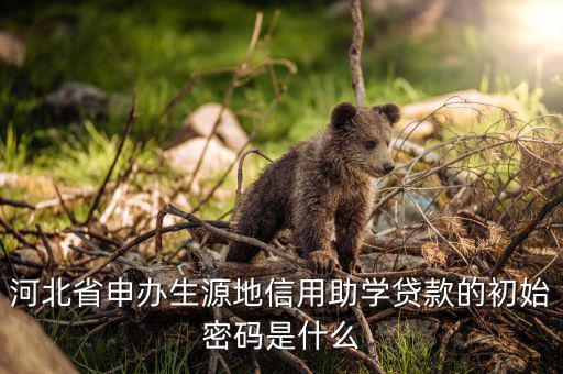 初始申報密碼是什么意思，國稅第一次網(wǎng)上申報的登陸密碼是什么