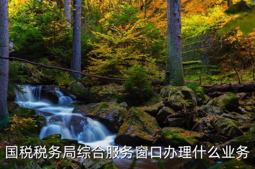 國稅大廳辦理什么業(yè)務，辦稅大廳都做些什么事