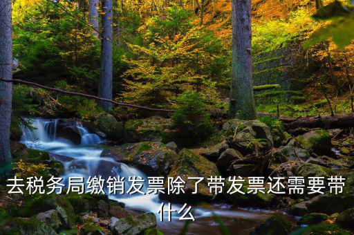 發(fā)票繳銷需要什么，未使用的發(fā)票如何繳銷需要哪些資料