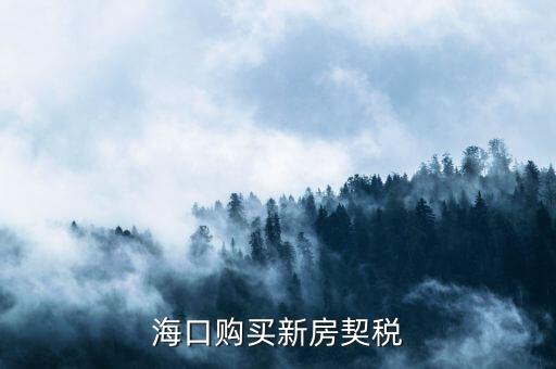 ?？谫徺I新房契稅