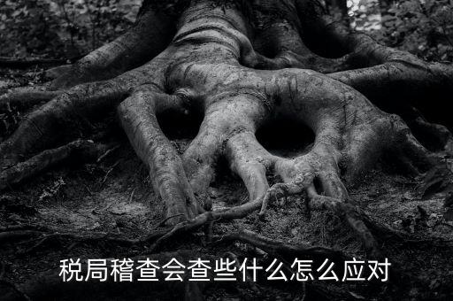 稅局稽查會(huì)查些什么怎么應(yīng)對