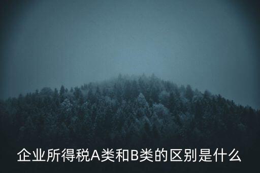 企業(yè)所得稅b類是什么意思，企業(yè)所得稅A類和B類的區(qū)別是什么