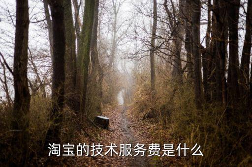 技術(shù)咨詢服務(wù)費(fèi)指什么，醫(yī)藥行業(yè)技術(shù)服務(wù)費(fèi)包含什么內(nèi)容