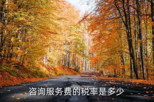 咨詢服務(wù)交什么稅，公司收到一筆咨詢費(fèi)應(yīng)該如何納稅稅率是多少急謝謝