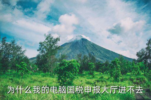 陜西國(guó)家稅務(wù)局為什么上不去，為什么我的電腦國(guó)稅申報(bào)大廳進(jìn)不去