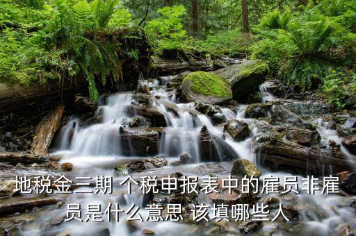 個稅申報人員是什么，地稅金三期 個稅申報表中的雇員非雇員是什么意思 該填哪些人