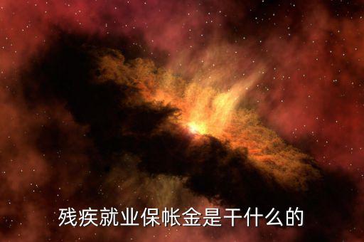 殘疾人保障金有什么用，殘疾就業(yè)保帳金是干什么的