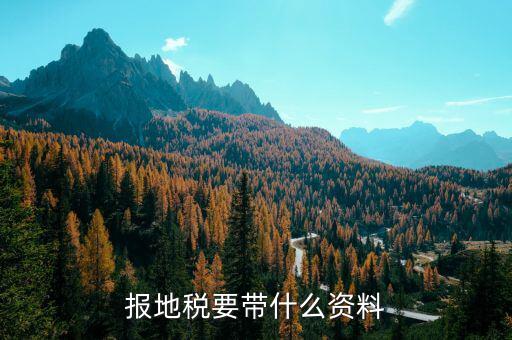 地稅都申報什么材料，申報地稅要什么資料