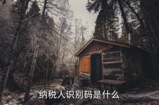 稅務識別碼有什么用，納稅人識別碼是什么