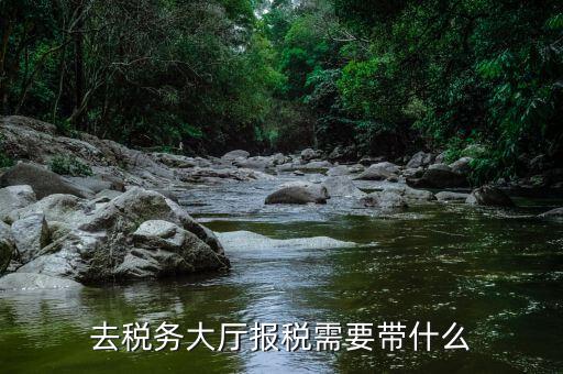 地稅大廳申報(bào)需要什么，到地稅大廳申報(bào)地稅需要什么資料