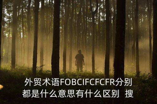 什么是被指定國別報告，什么是SGS