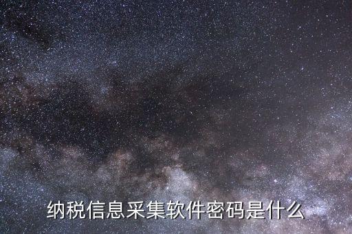 納稅清單密碼是什么，網(wǎng)上報(bào)稅 報(bào)稅密碼是什么