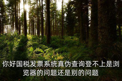 新疆國稅發(fā)票查詢?yōu)槭裁催M不去，為什么國稅官網(wǎng)中電子發(fā)票查詢打不開