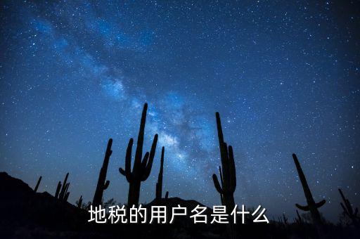 地稅ca登陸登陸名是什么，地稅的用戶名是什么
